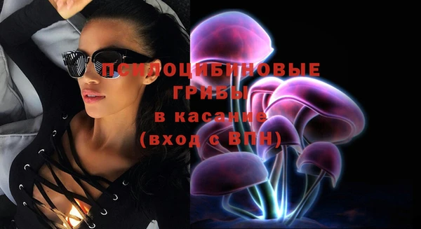 хмурый Пересвет