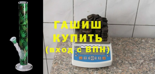 хмурый Пересвет