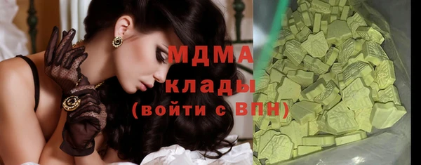 хмурый Пересвет