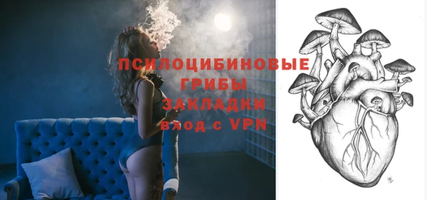 хмурый Пересвет