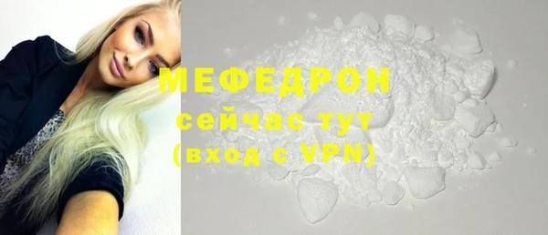 хмурый Пересвет