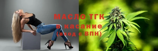 молекула духа Пестово