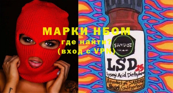 хмурый Пересвет