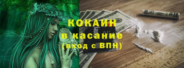 молекула духа Пестово