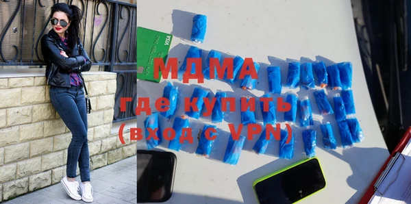 хмурый Пересвет