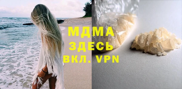хмурый Пересвет