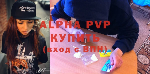 молекула духа Пестово