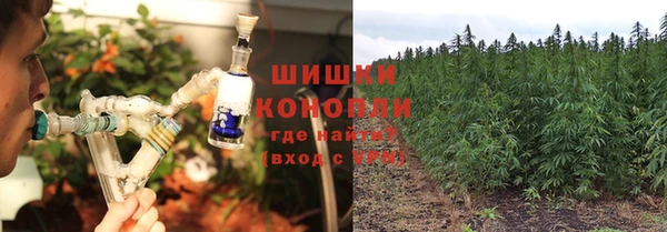 молекула духа Пестово