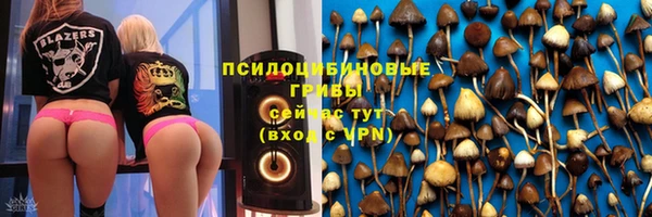 молекула духа Пестово
