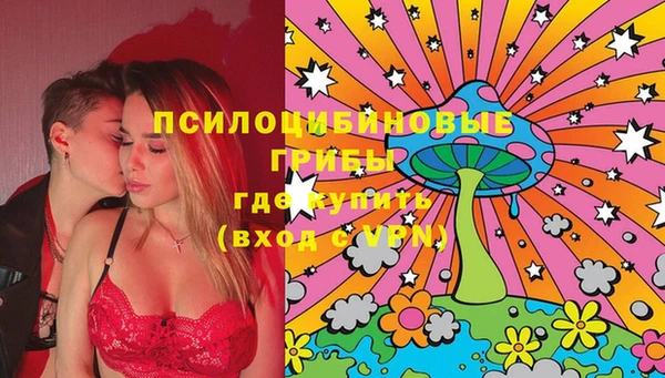молекула духа Пестово