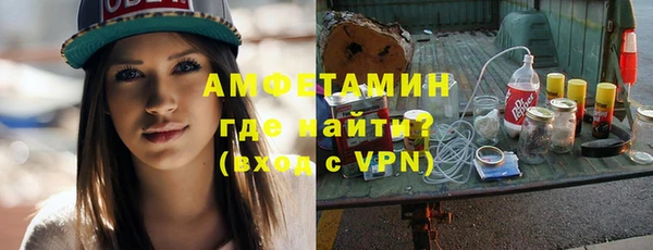 хмурый Пересвет