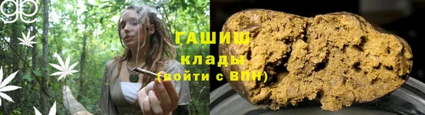 молекула духа Пестово