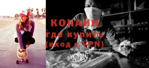 молекула духа Пестово