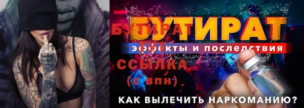 хмурый Пересвет