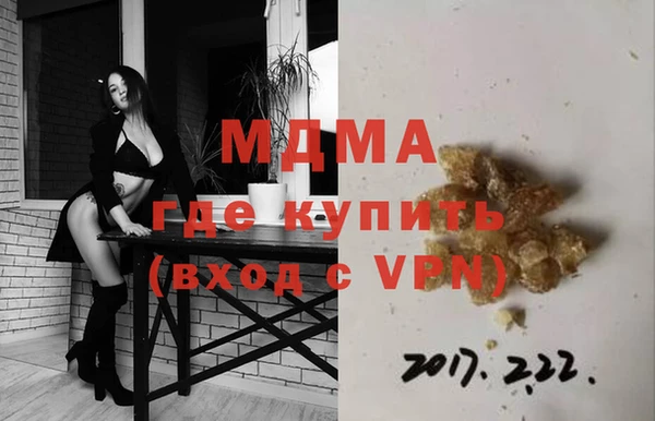хмурый Пересвет