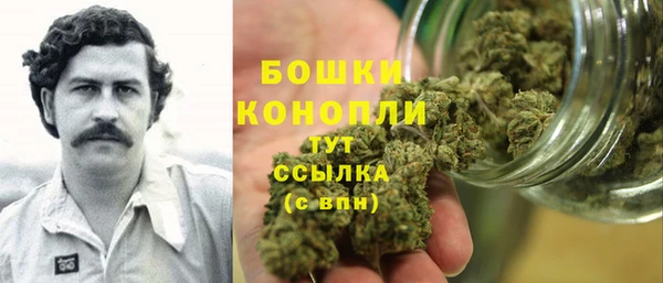 соль ск Переславль-Залесский